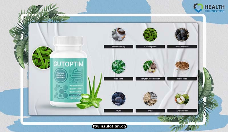 GutOptim Reviews: Scam or Legit? Ingredients & Effects