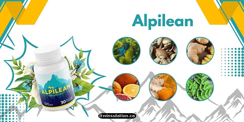 Ingredients and Benefits of Alpilean