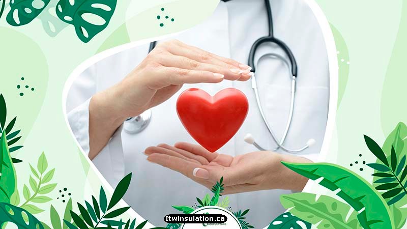 Cardiovascular Health Support