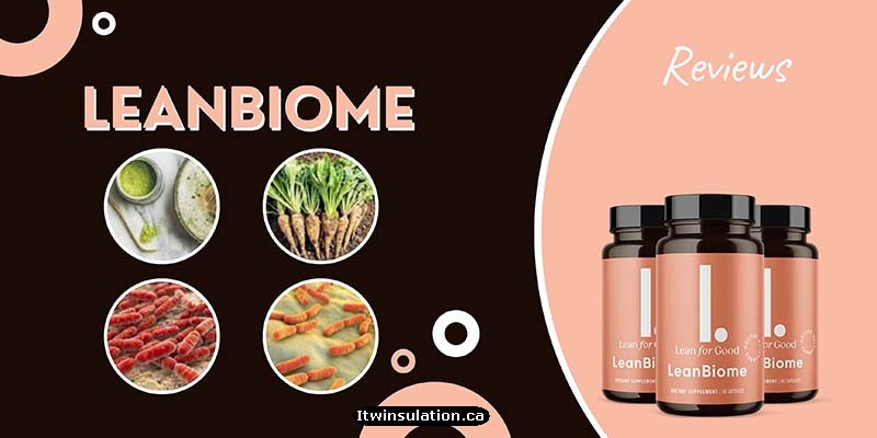 Ingredients of LeanBiome