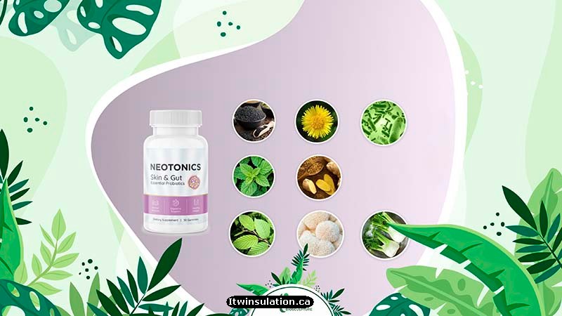 Neotonics Ingredients