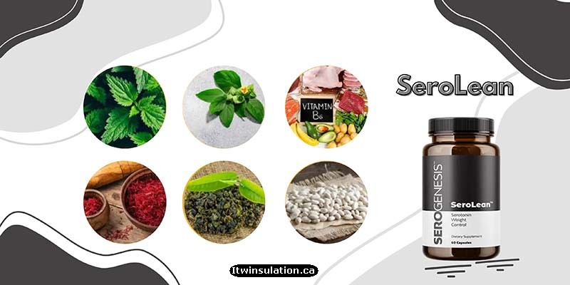 Ingredients of SeroLean